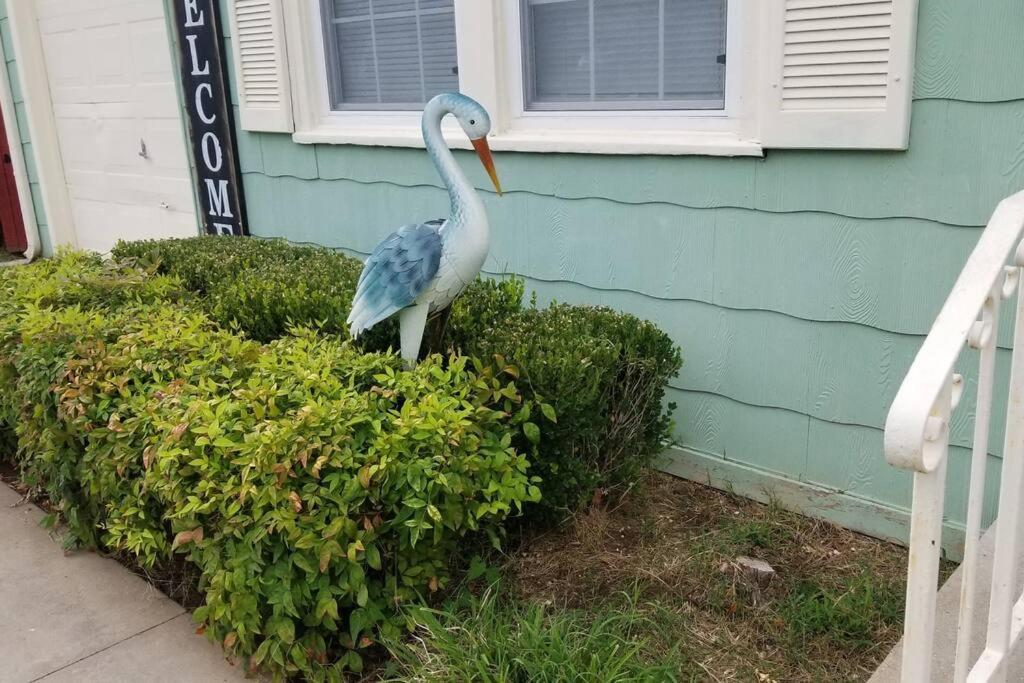 Blue Flamingo'S Charming Home-Heart Of Tulsa2- Cherry St-Expo-11Th Exteriör bild